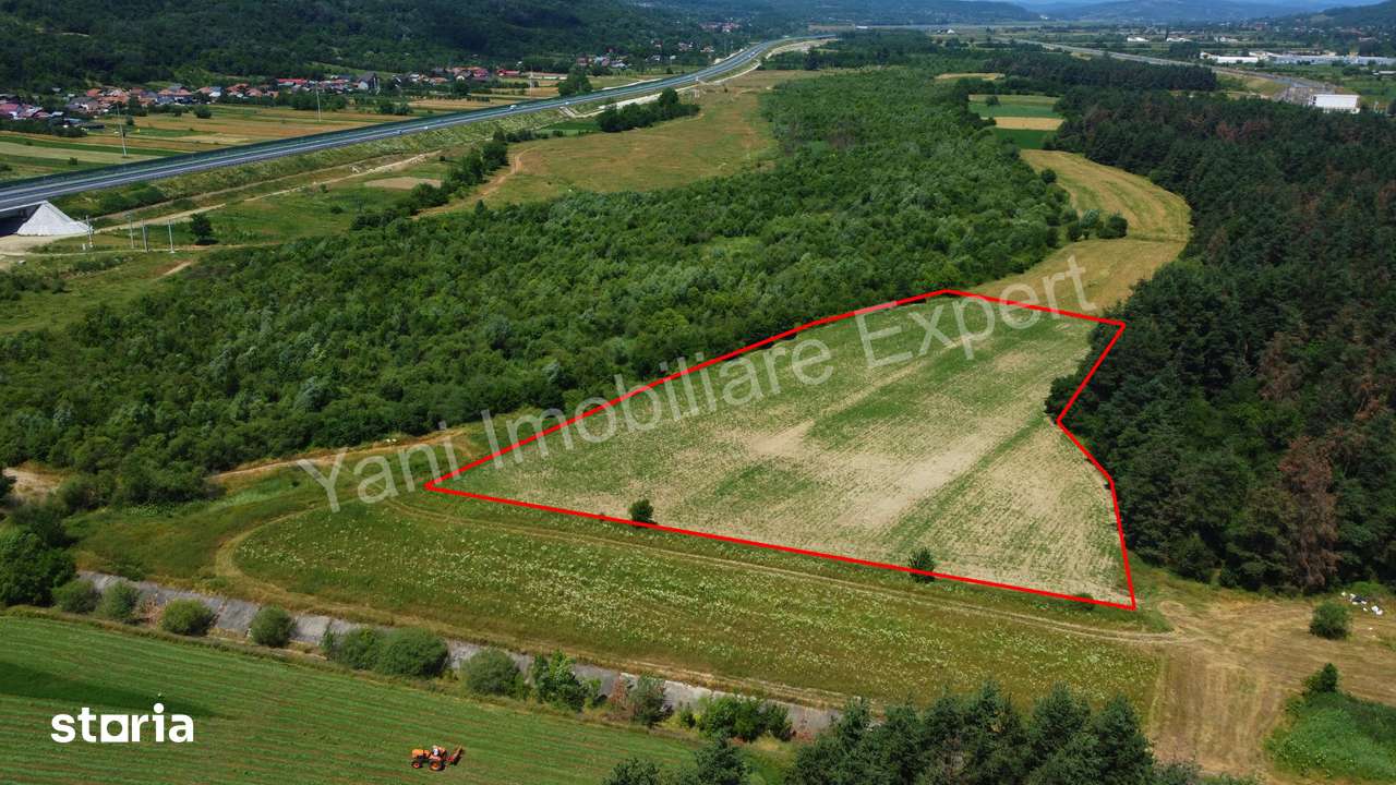 Teren de vânzare în comuna Băiculești, Judet Argeș ( 11.000 mp ) - Imagine principală: 2/12