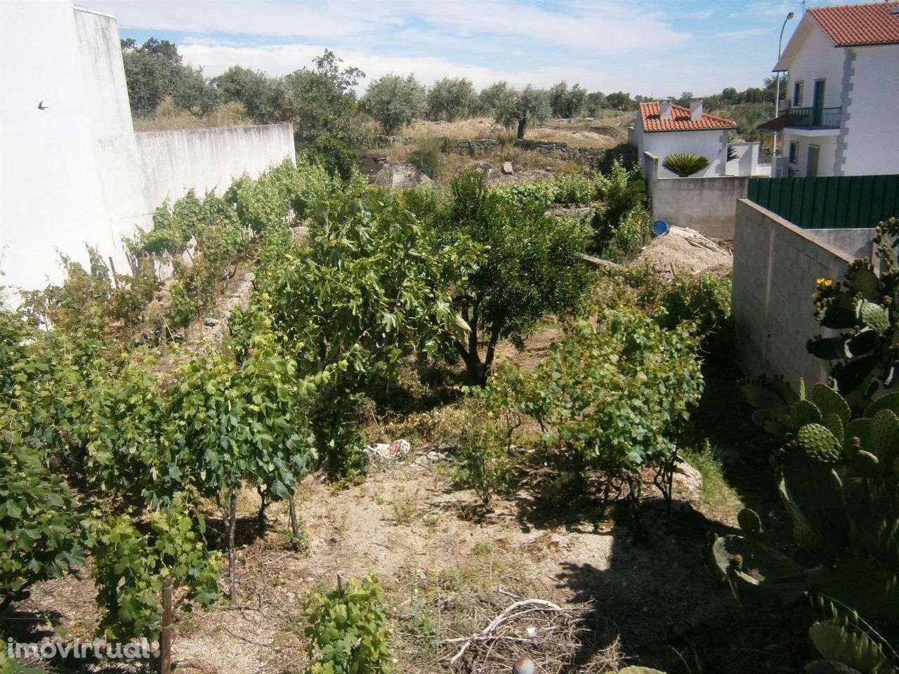 Lote - Grande imagem: 2/3