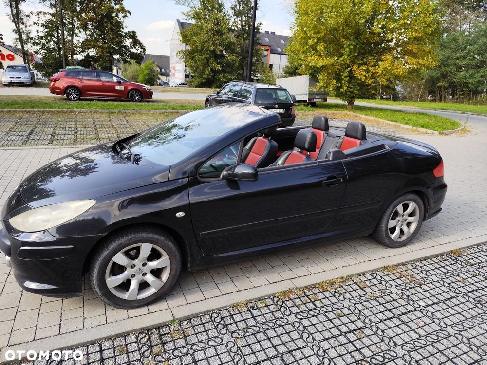 Peugeot 307 CC 2.0 Intense - 7