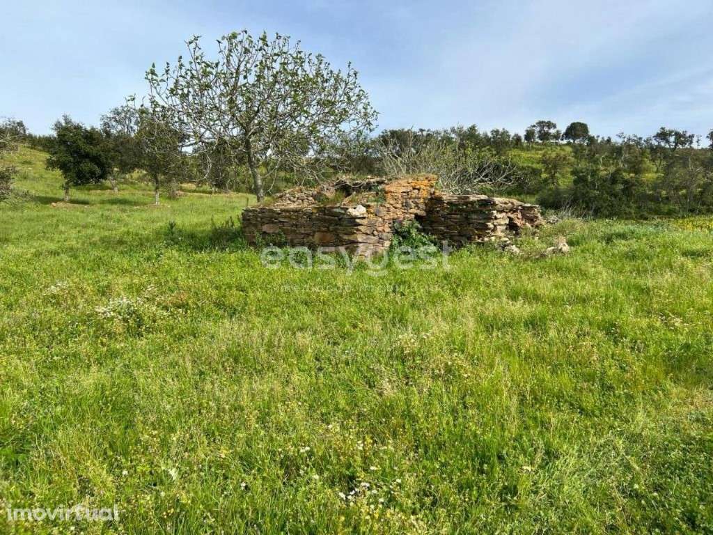 Monte Alentejano localizado na freguesia de S. Martinho das Amoreiras - Grande imagem: 5/32