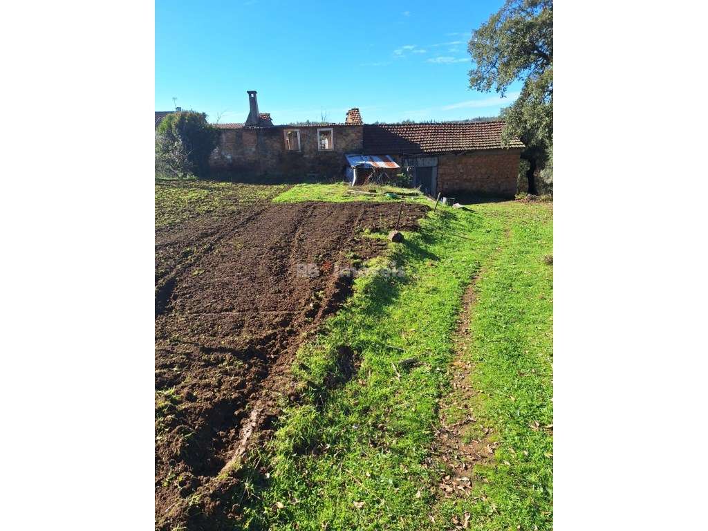Quintinha com Casa em Pedra - Grande imagem: 2/15