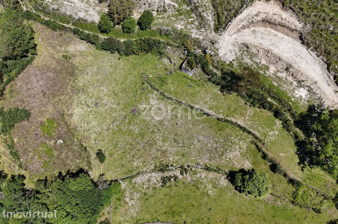 Terreno c/ruina Mixões da Serra - Grande imagem: 2/18