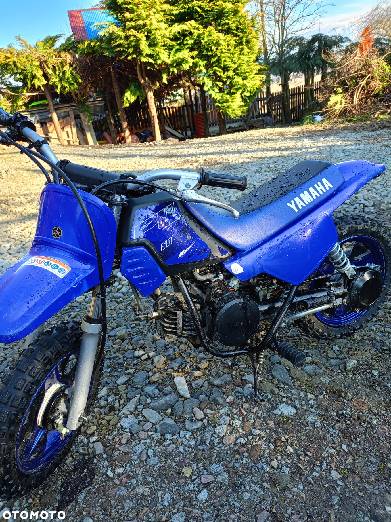 Yamaha PW