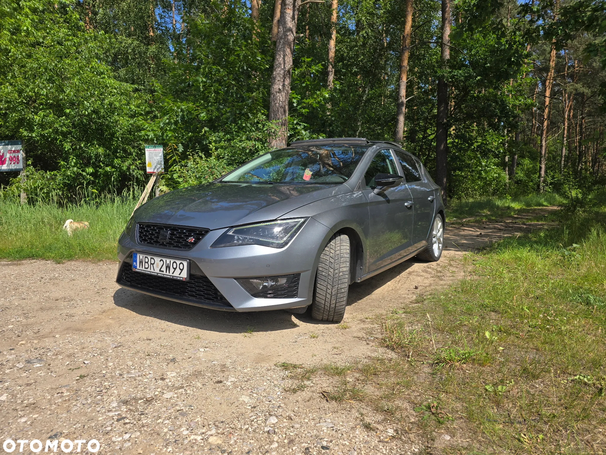 Seat Leon 2.0 TDI DPF Start&Stop DSG FR - 7