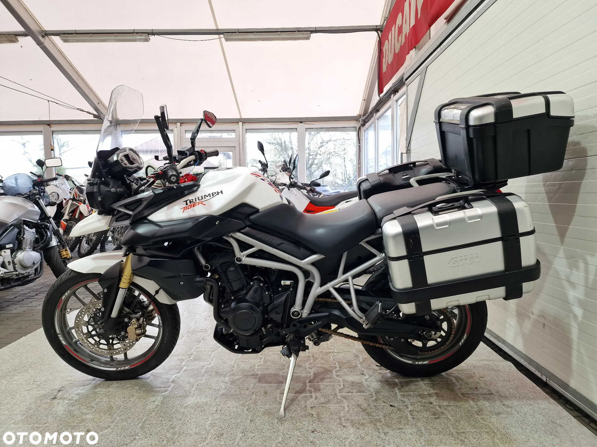 Triumph Tiger - 21