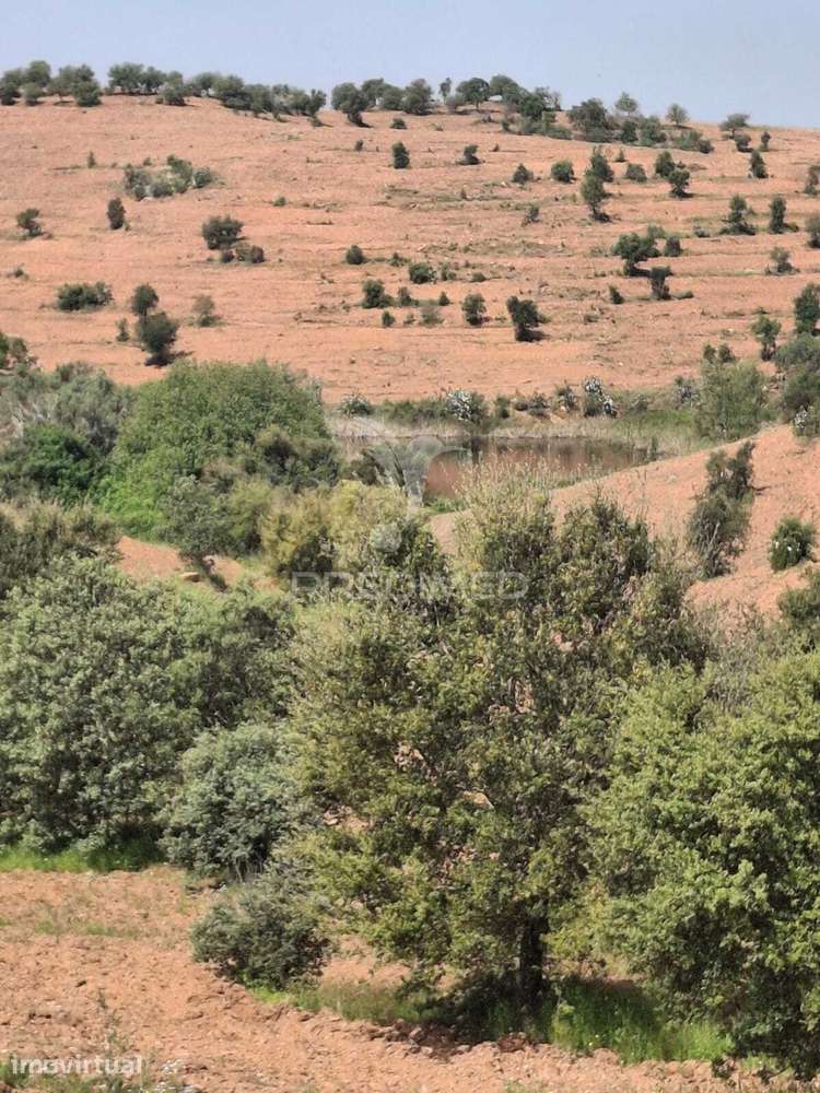 Terreno Rustico - Pulo do Lobo -Mértola - Grande imagem: 4/30