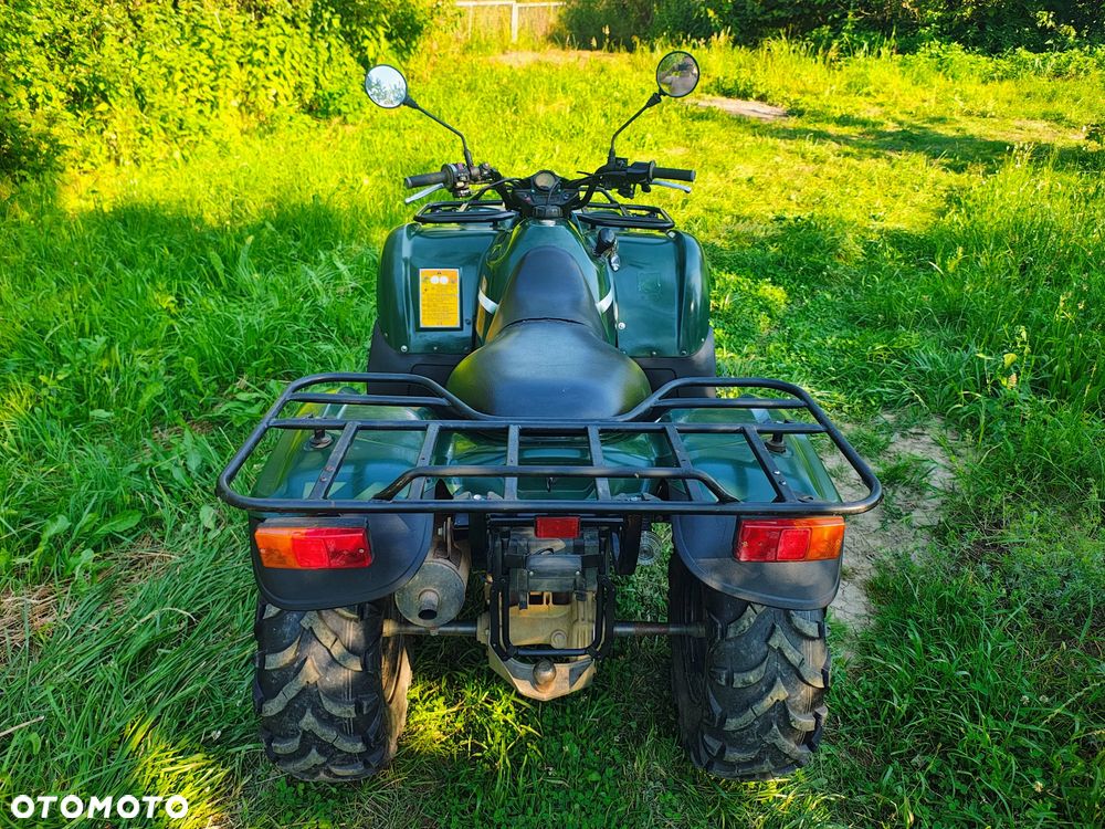 Kawasaki Brute Force - 13