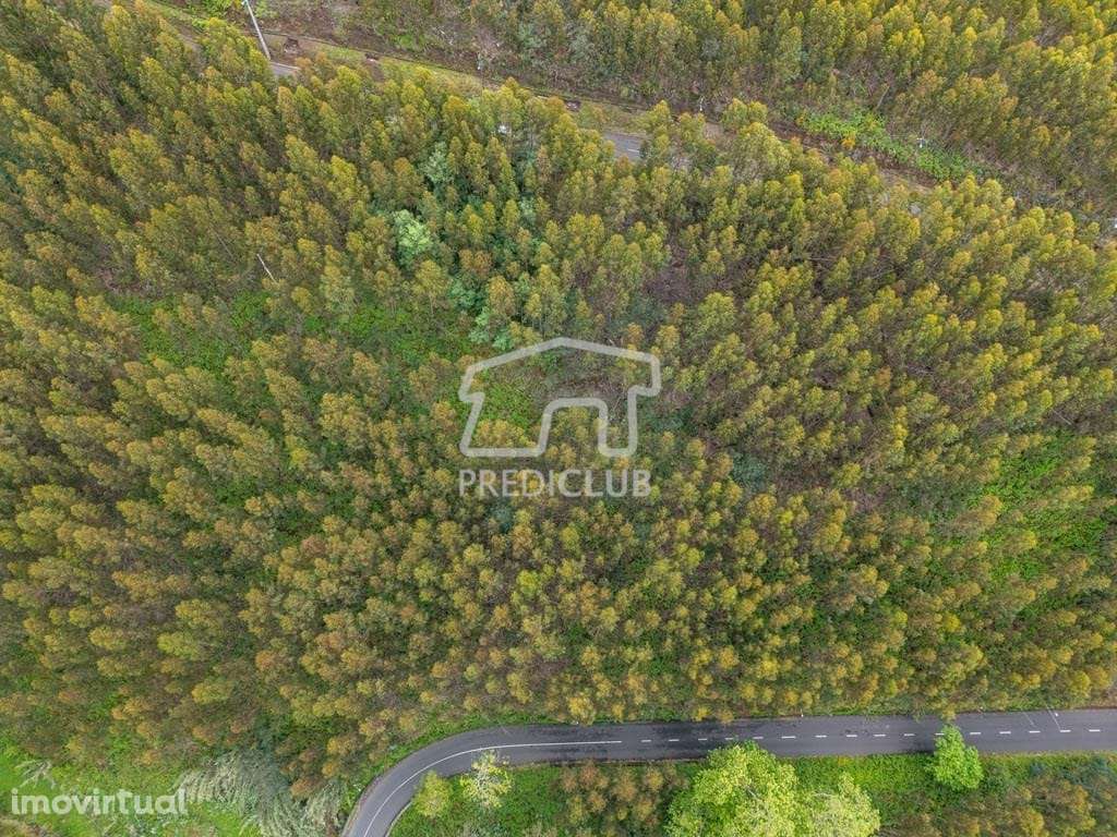 Terreno  889 m2 - Calheta - Grande imagem: 4/13