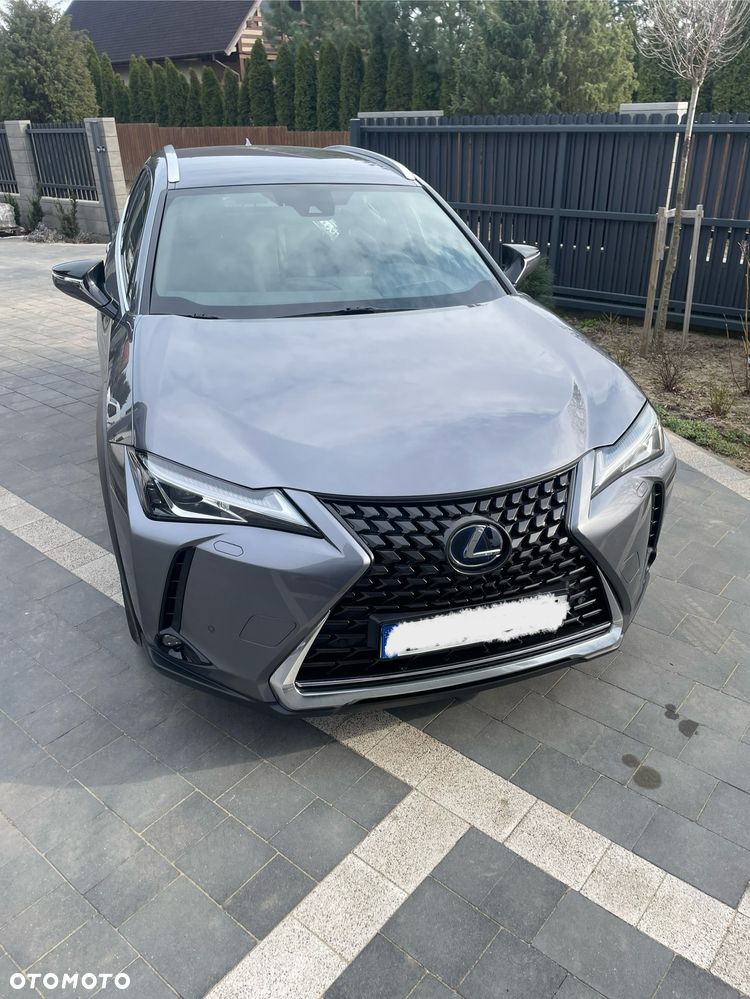 Lexus UX 250h GPF Elegance AWD - 13
