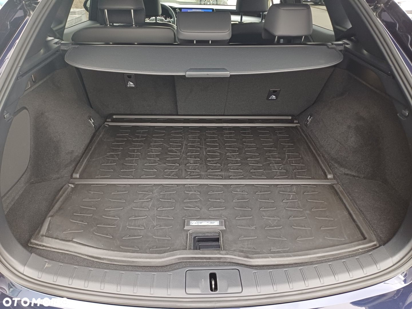 Lexus RX - 18
