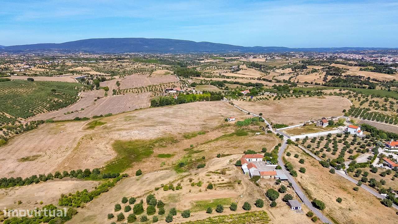 Terreno em Vale Carvão-Carril-Torres Novas | 15,88 Hectares - Grande imagem: 3/17