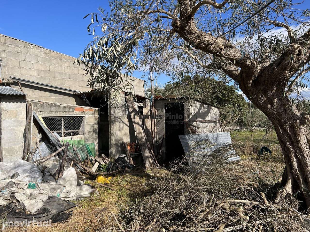 Quinta com vista para a serra - Grande imagem: 4/18