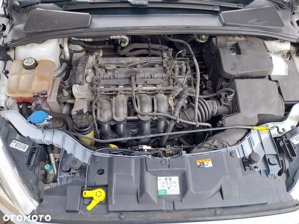 Ford Focus 1.6 Trend - 9