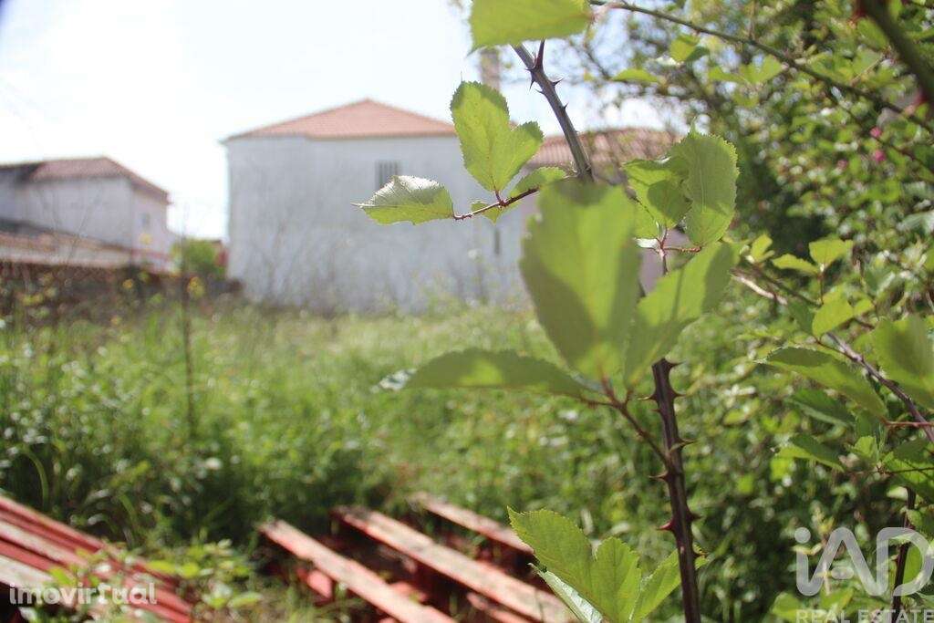 Terreno para construção em Malhou, Louriceira e Espinheiro - Grande imagem: 3/17