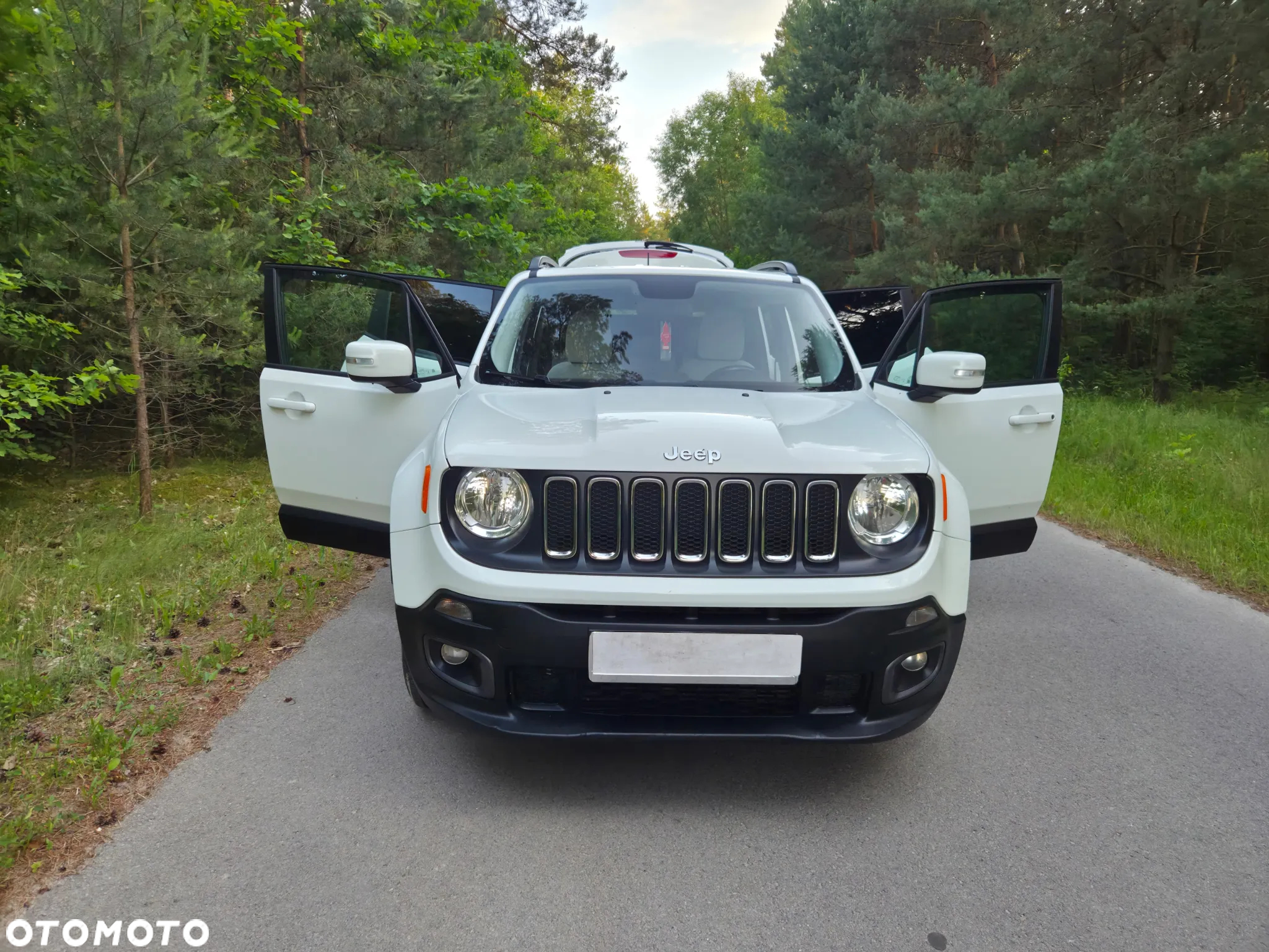 Jeep Renegade 1.4 MultiAir DSG Business Line - 19