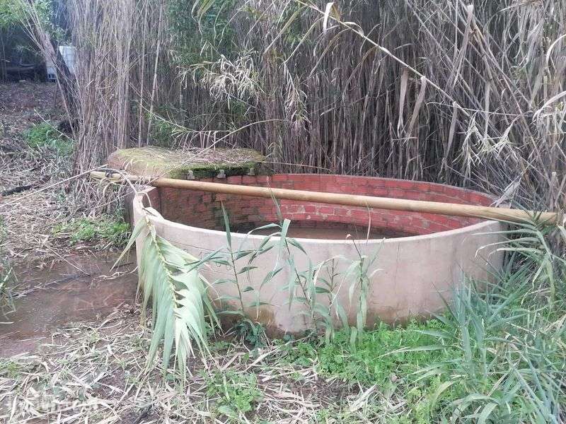 Terreno 12ha misto com possibilidade de turismo rural Bensafrim - Grande imagem: 5/8