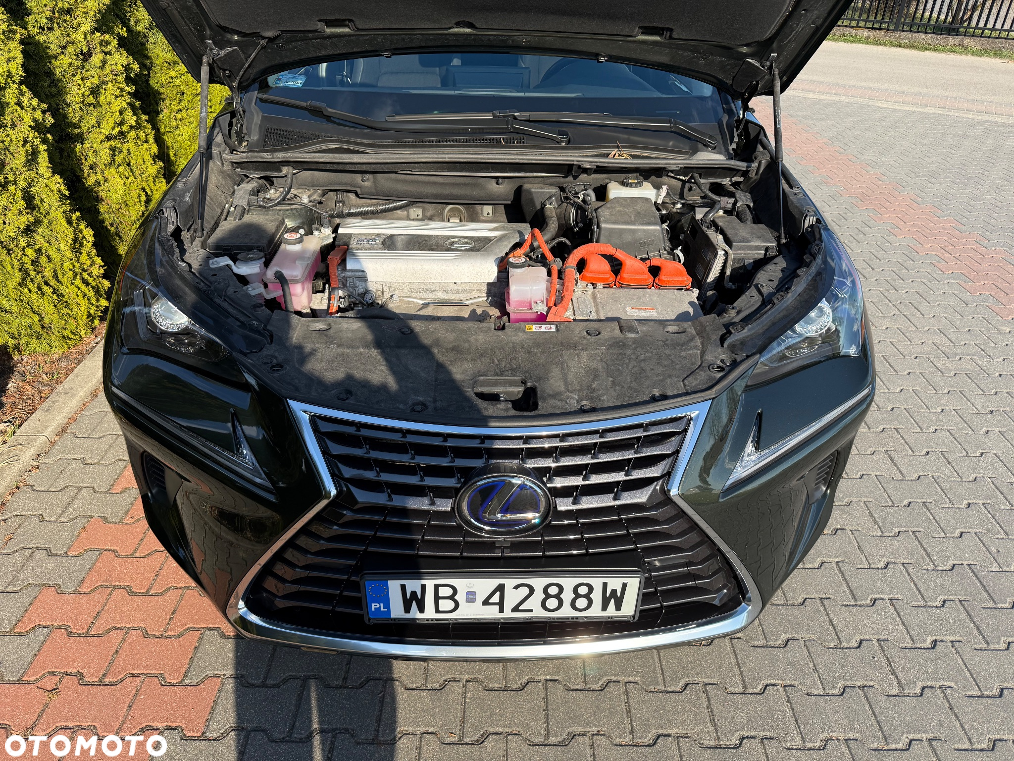 Lexus NX - 24