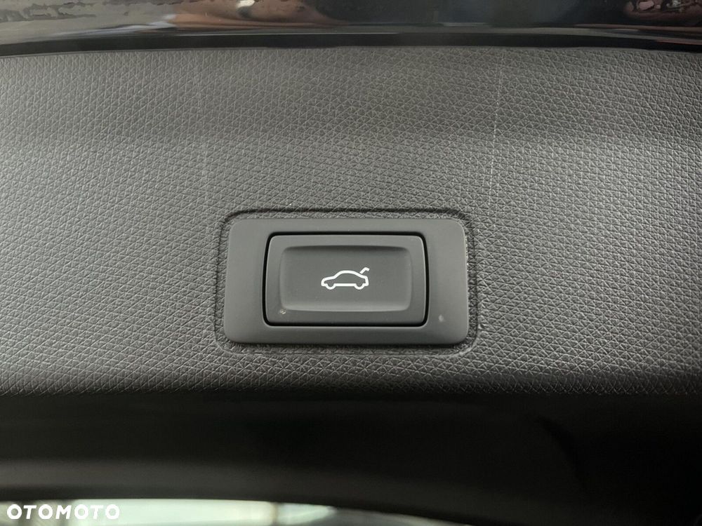 Cupra Terramar - 15
