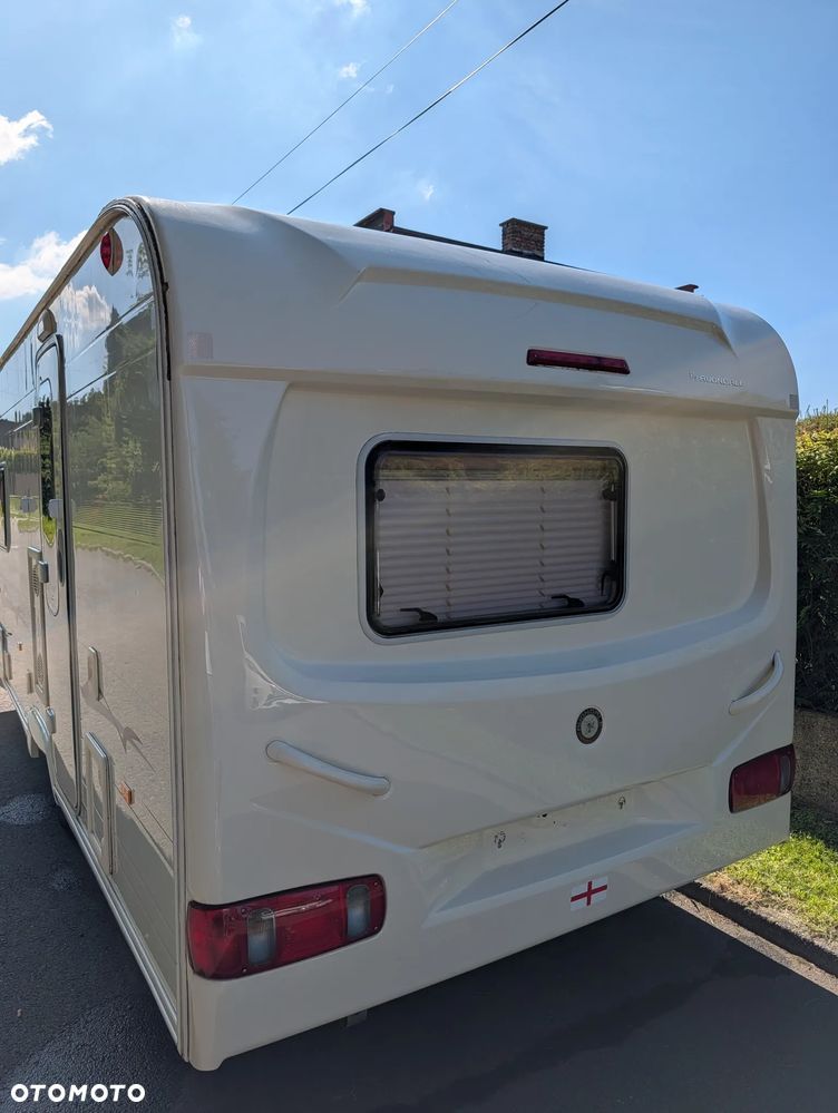 Avondale Golden Avocet - 2