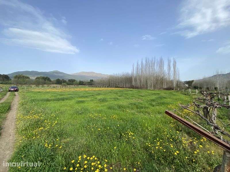 Terreno Ponte de Lima - Grande imagem: 2/3
