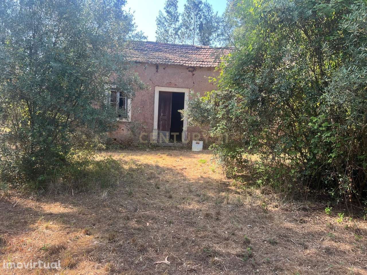 Moradia Térrea para Recuperar com Terreno de aproximadamente 1.600 m² - Grande imagem: 5/10