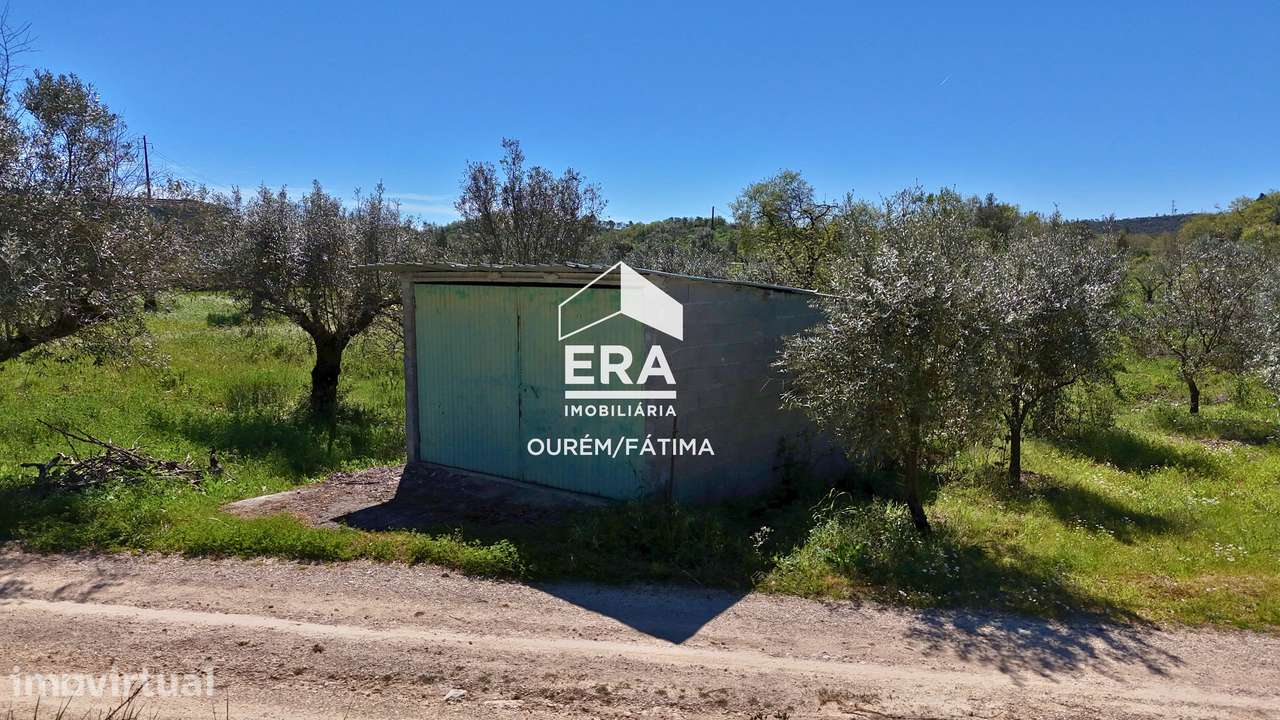 Terreno em Ferreira do Zezere - Grande imagem: 4/14
