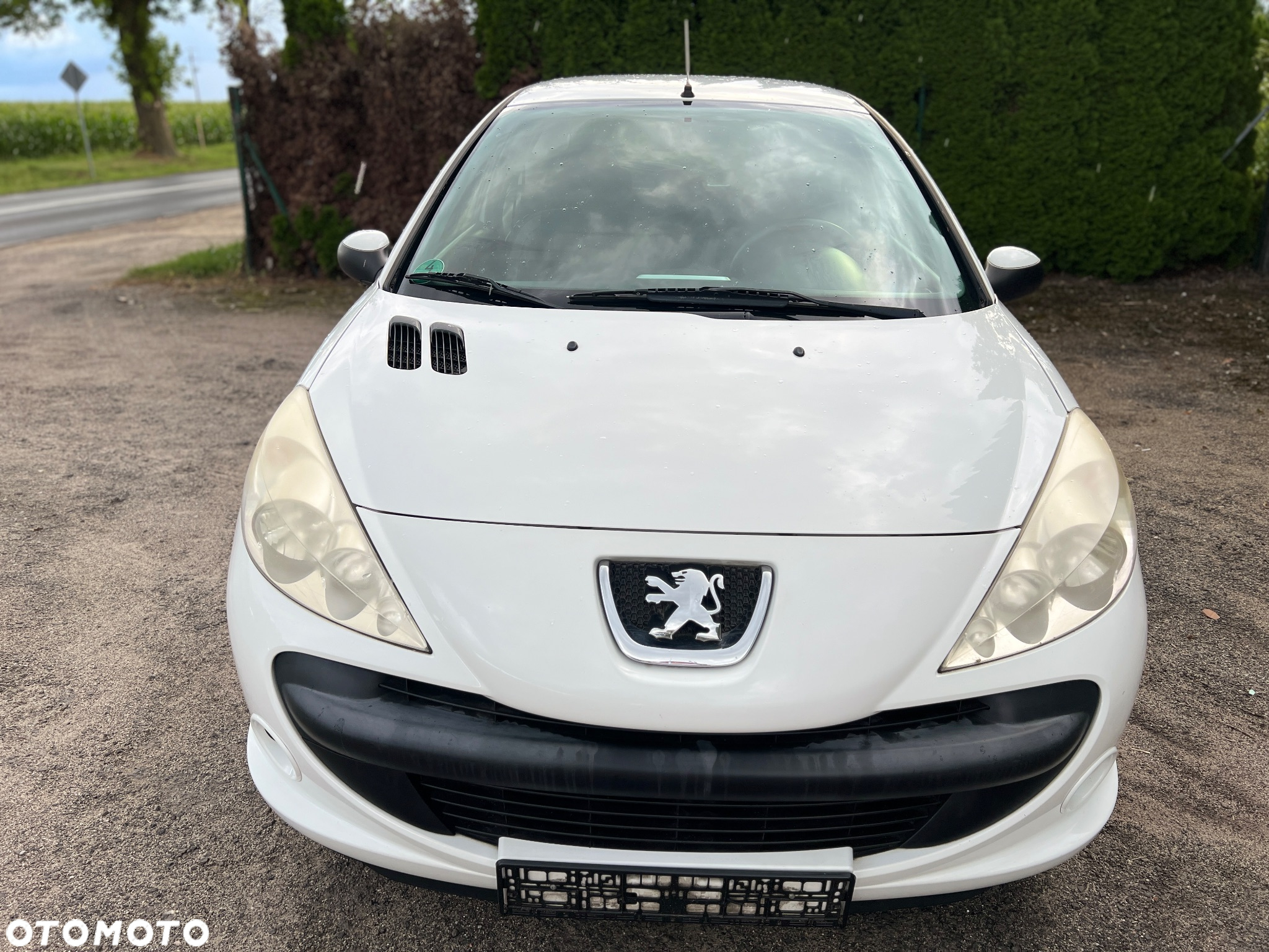 Peugeot 206 plus - 7