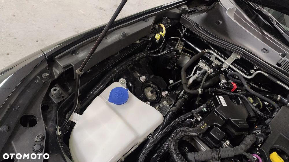 Fiat 124 Spider 1.4 MultiAir Turbo - 34