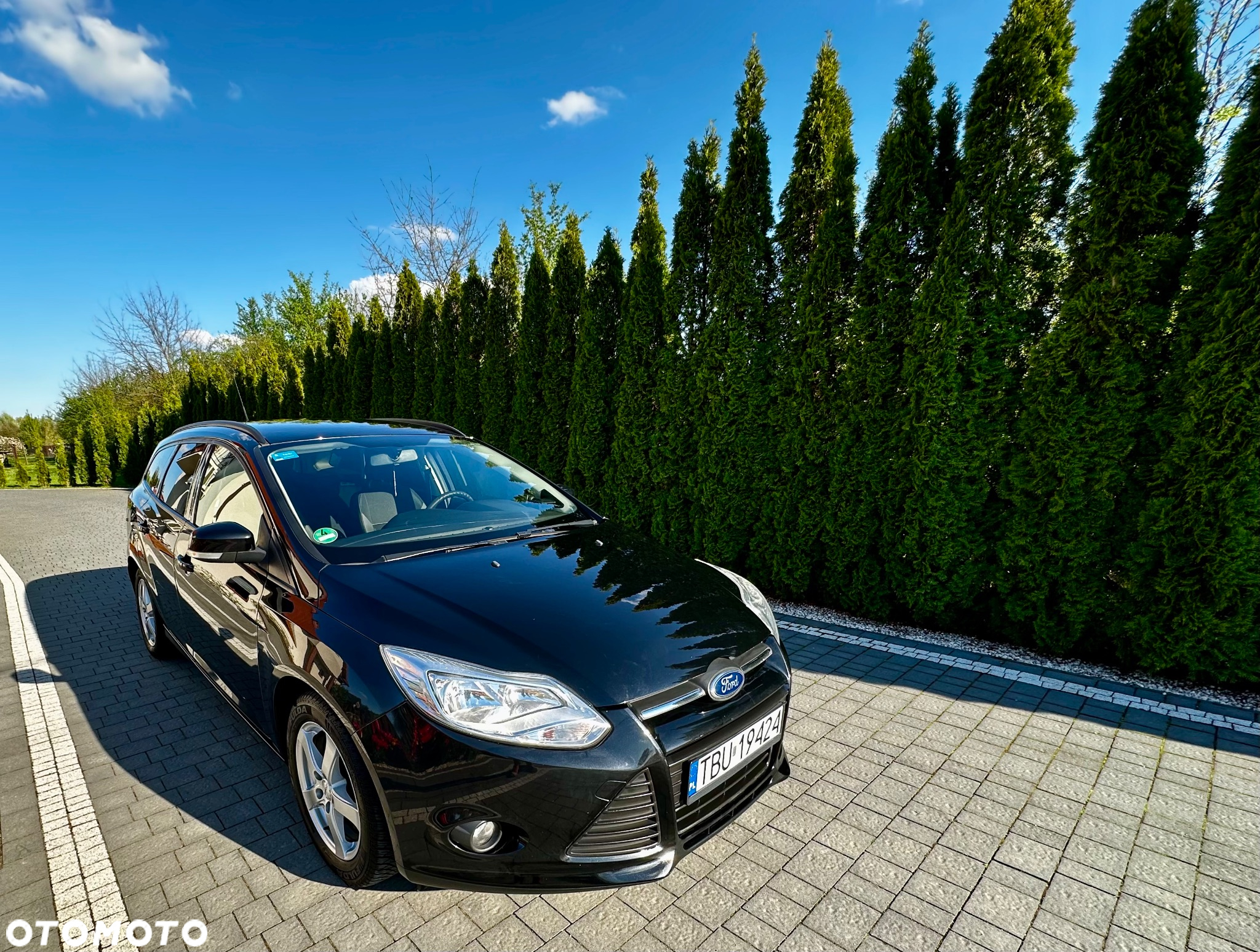 Ford Focus - 12