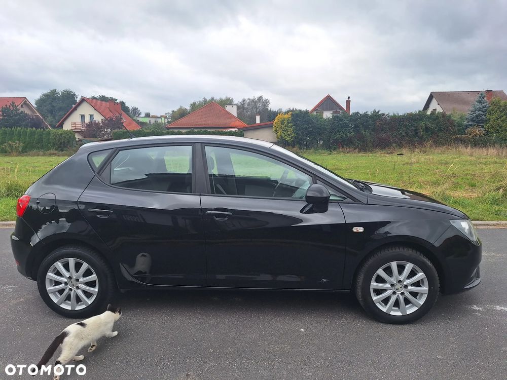 Seat Ibiza - 28