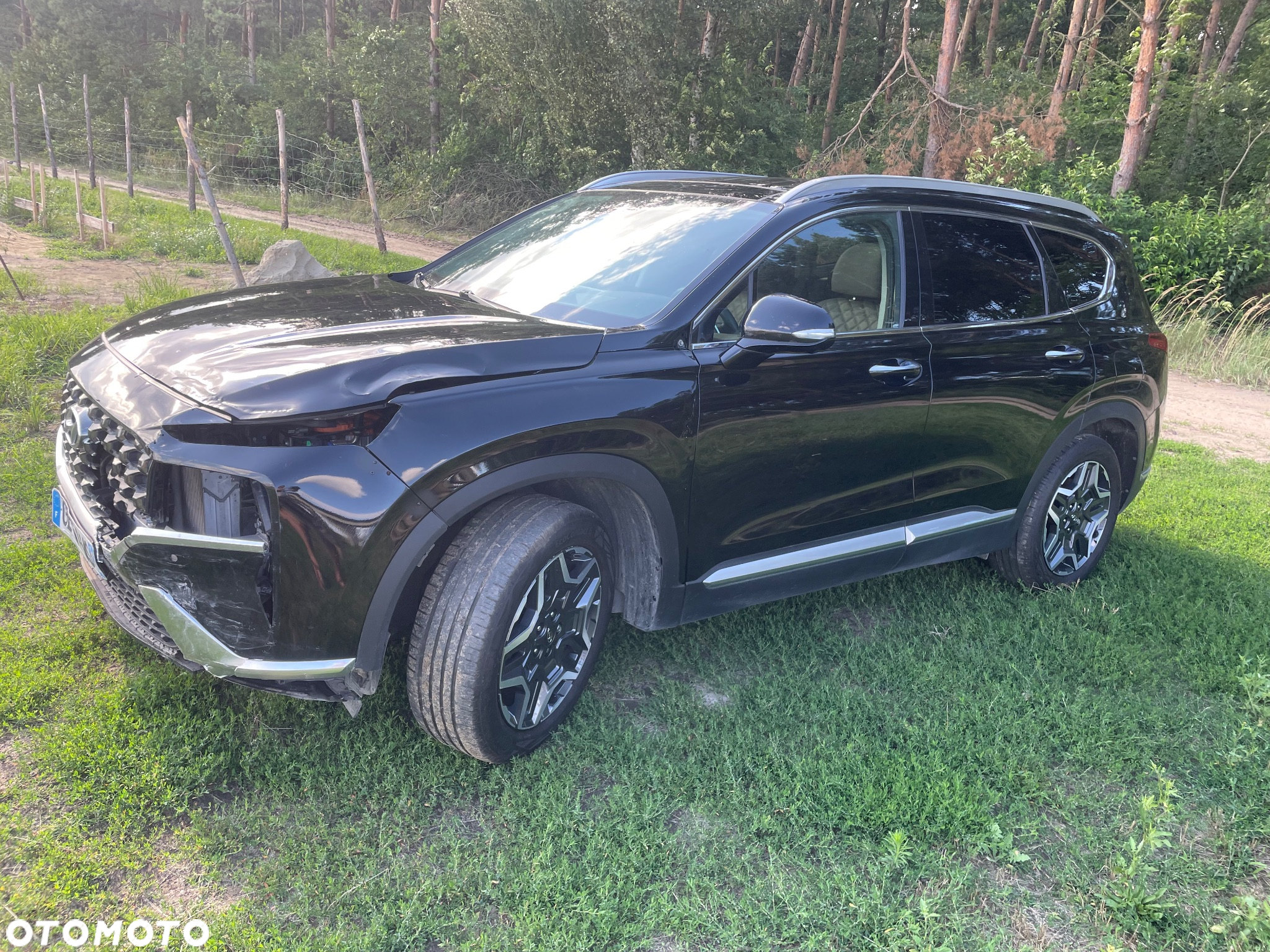 Hyundai Santa Fe 1.6 T-GDI HEV Platinum 4WD - 4