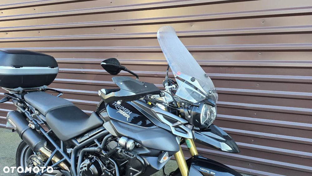 Triumph Tiger - 14