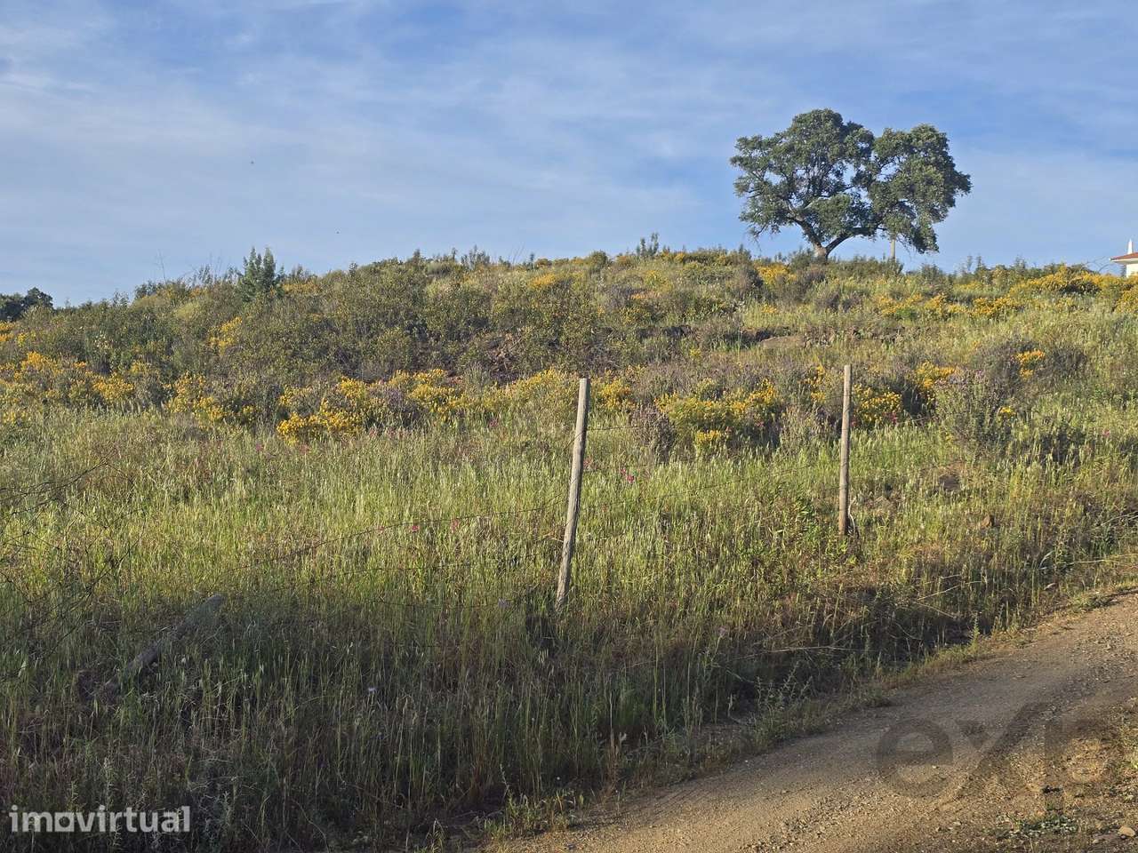 Terreno rustico Corte Antonio Martins com um hectar - Grande imagem: 3/12