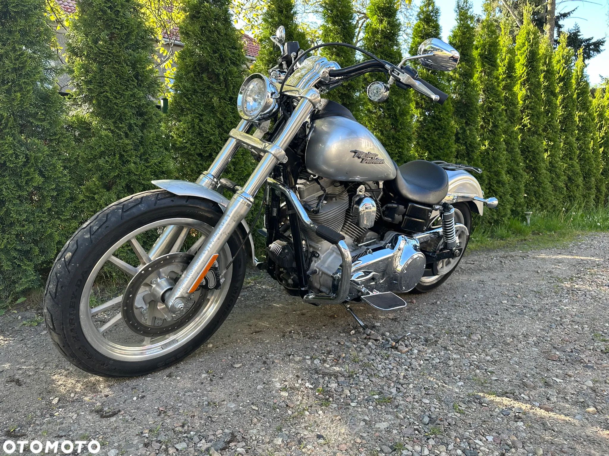 Harley-Davidson Dyna Wide Glide - 1