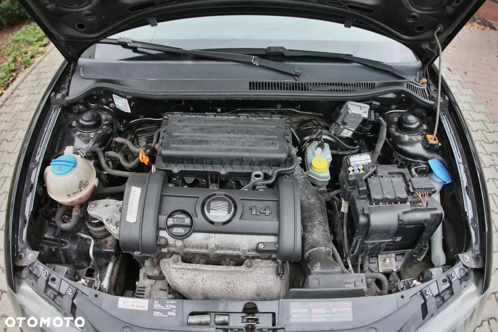 Seat Ibiza - 38