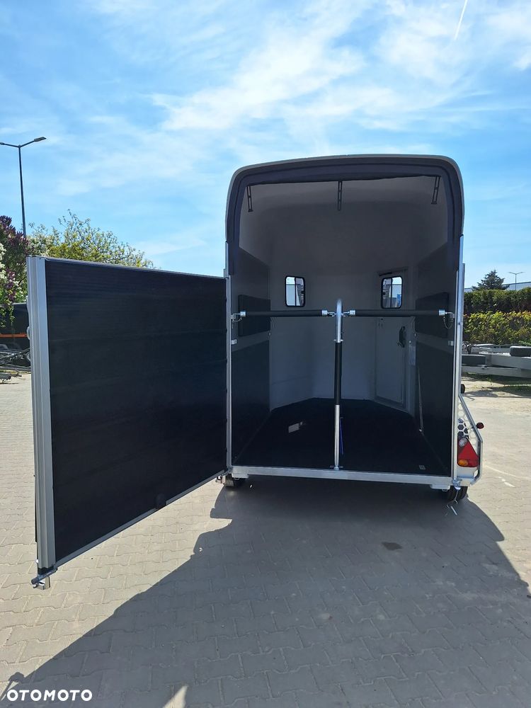 Cheval Liberte Gold Origin Debon - 10