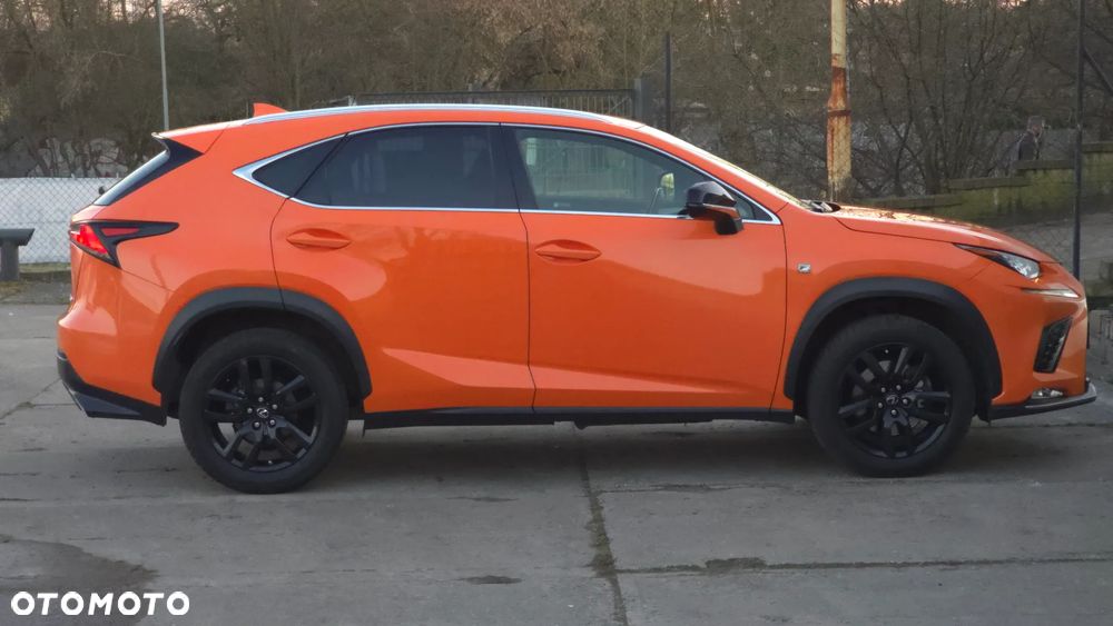 Lexus NX 300 F Sport AWD - 18