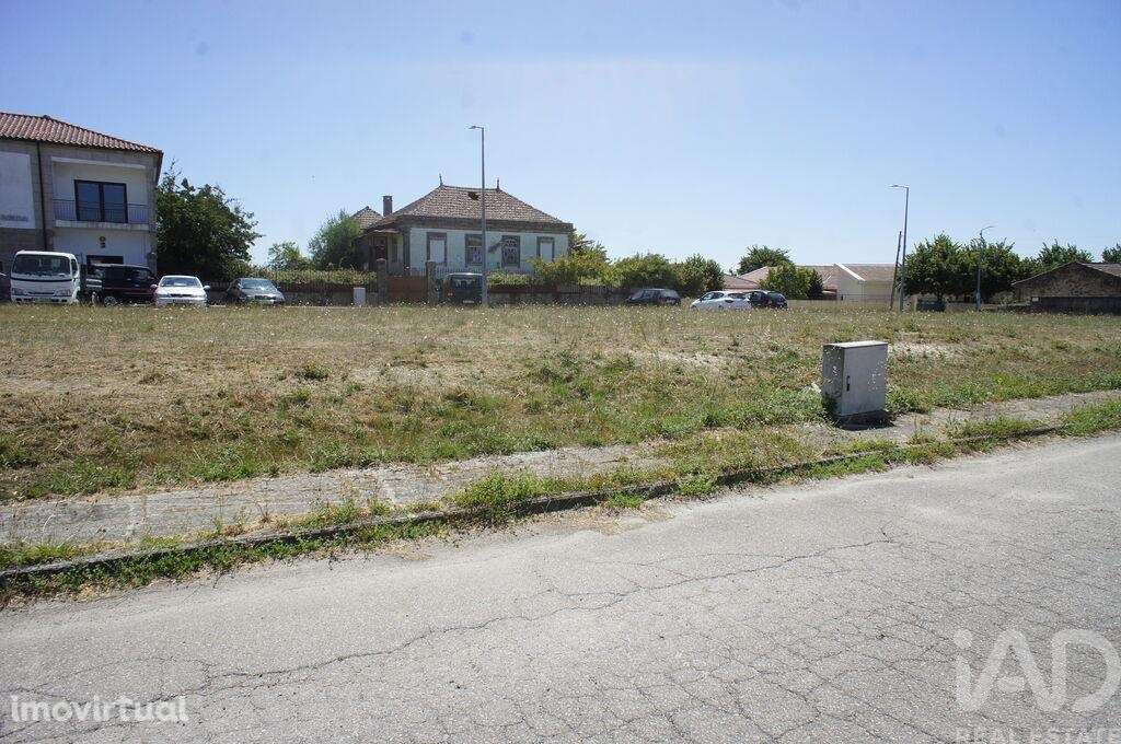 Terreno em Carrazedo de Montenegro e Curros de 301,00 m2 - Grande imagem: 5/7