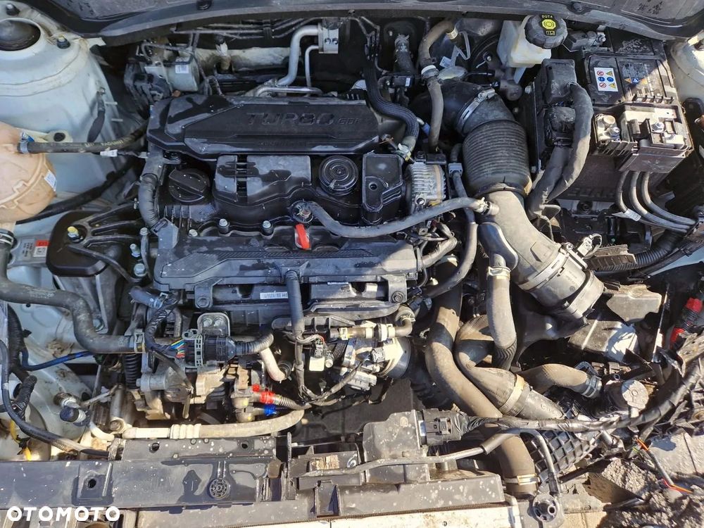 Kia Sportage 1.6 T-GDI MHEV L 2WD DCT - 18