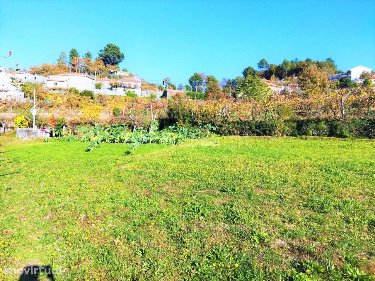 Terreno / Baião, Campelo e Ovil - Grande imagem: 2/2