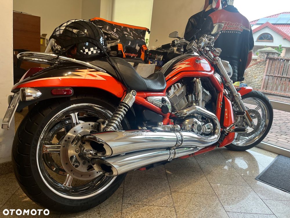 Harley-Davidson Softail V-Rod - 19