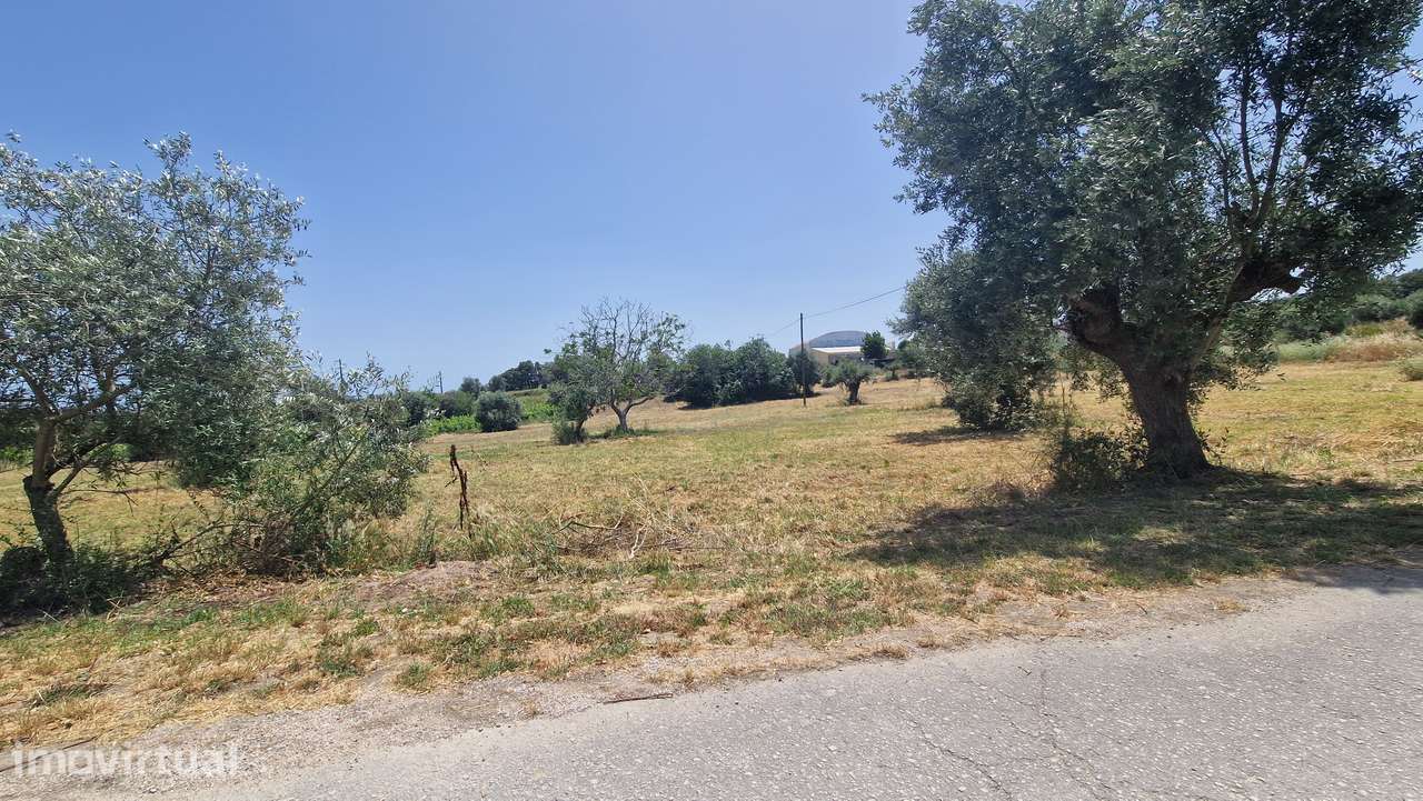 Terreno para venda em Casal da Estrada, Torres Novas - Grande imagem: 5/12