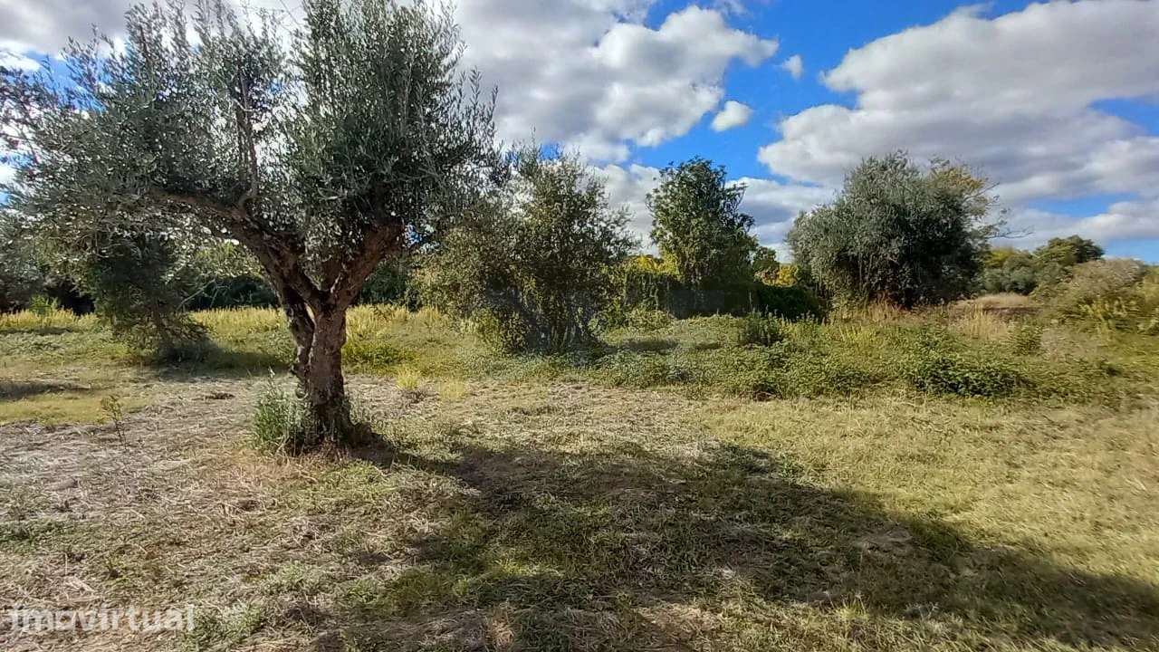 Terreno Rústico | + 1800 m2 | Lamarosa, Torres Novas - Grande imagem: 3/5