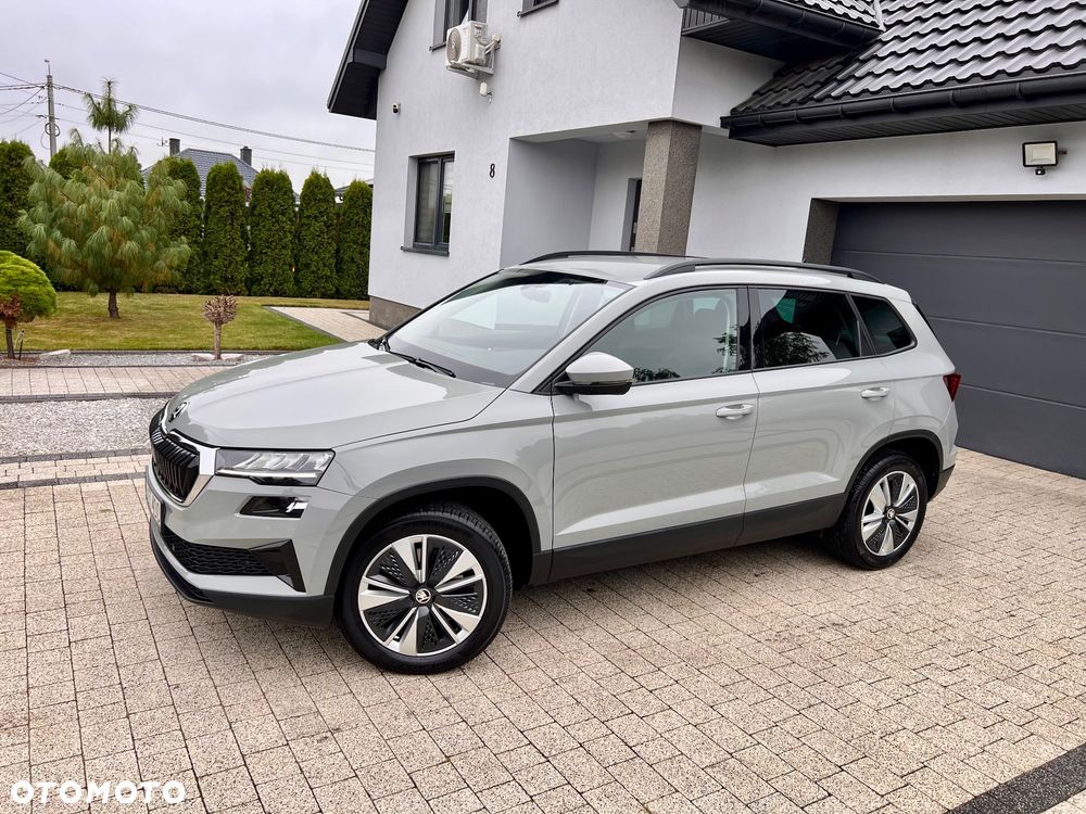 Skoda Karoq - 17