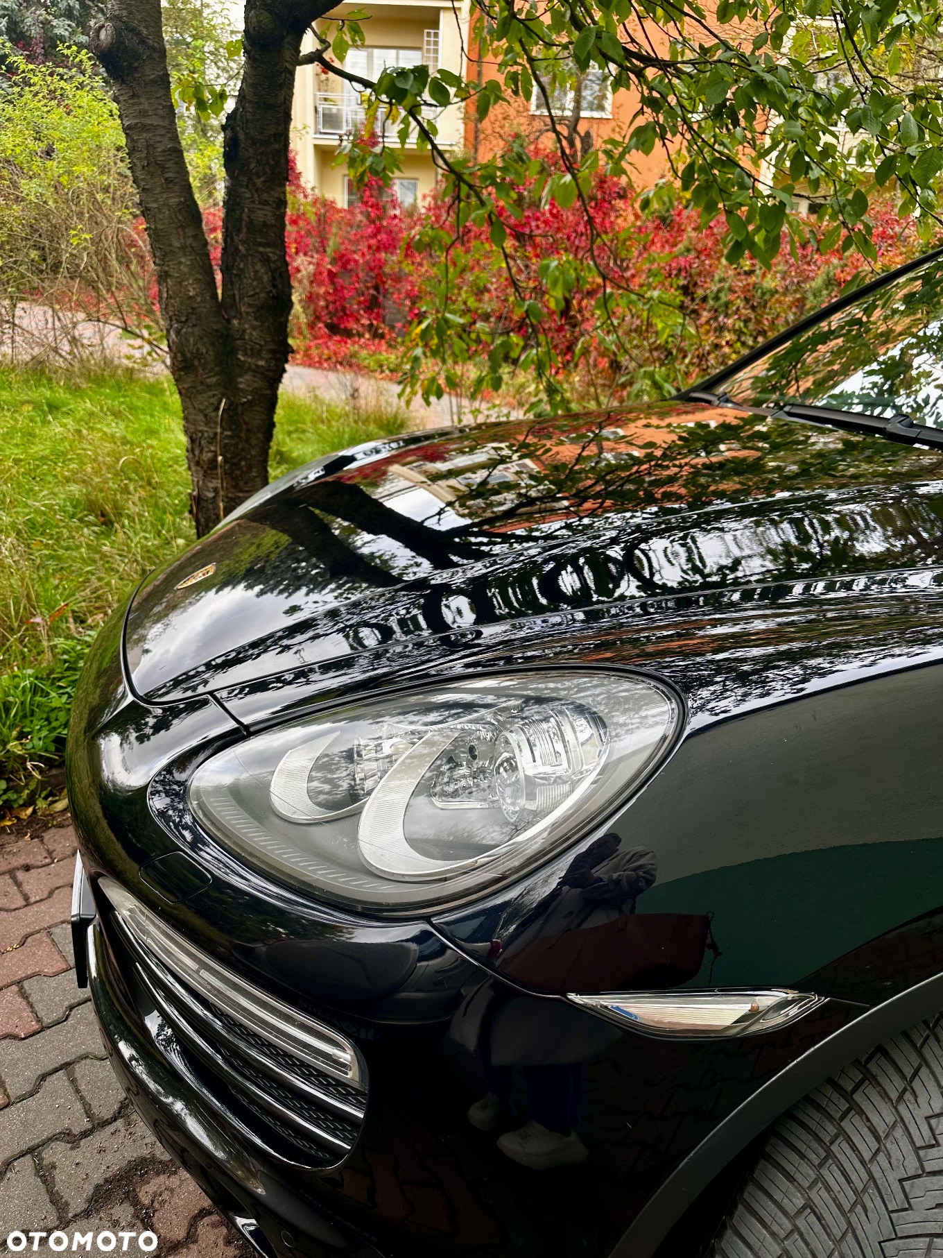 Porsche Cayenne - 6