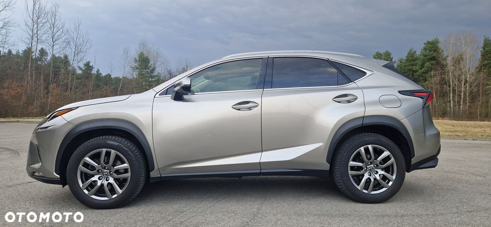 Lexus NX 300 Comfort AWD - 12