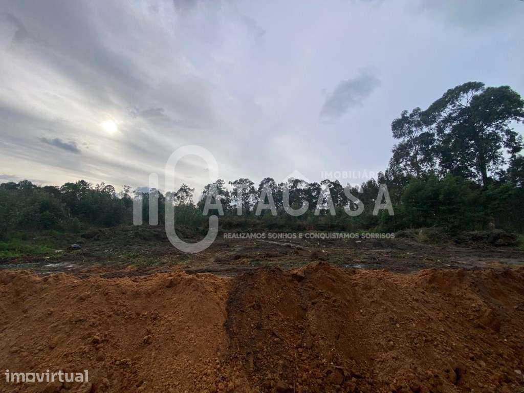 Terreno Rústico para venda no concelho de Águeda - Grande imagem: 4/5