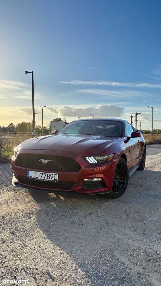 Ford Mustang - 11