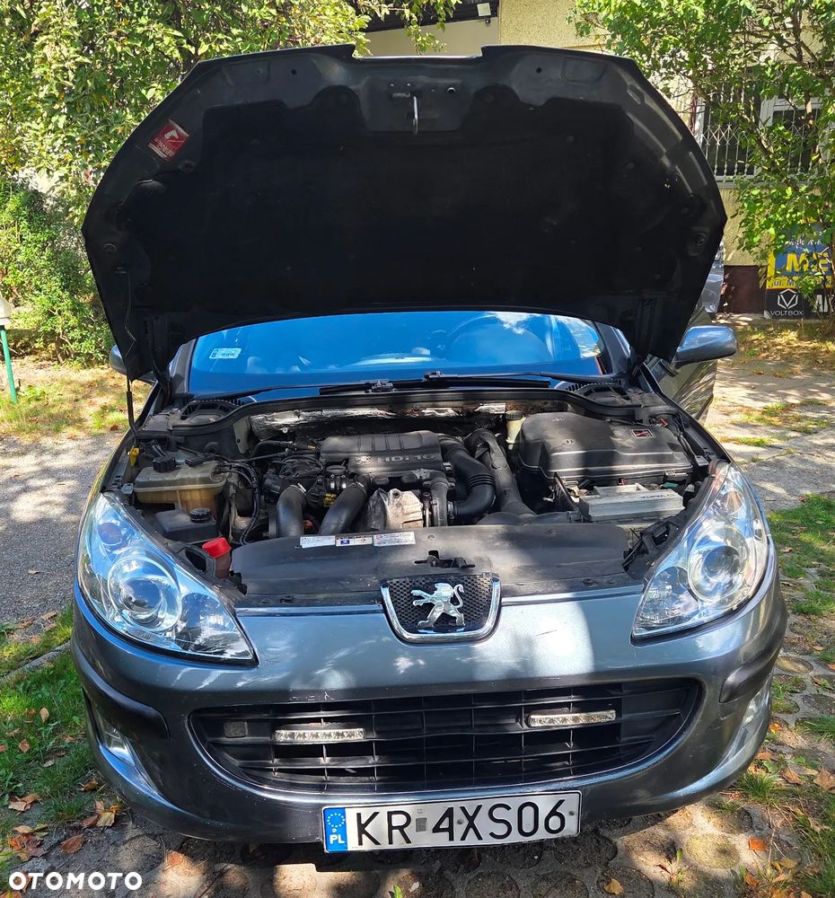 Peugeot 407 - 7