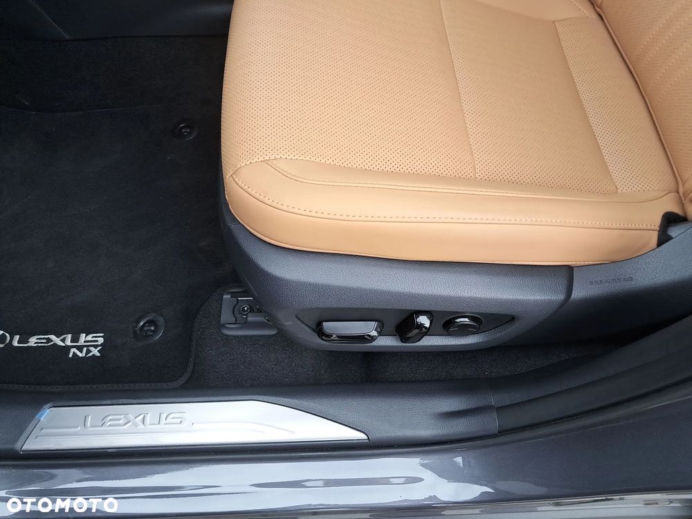 Lexus NX - 14